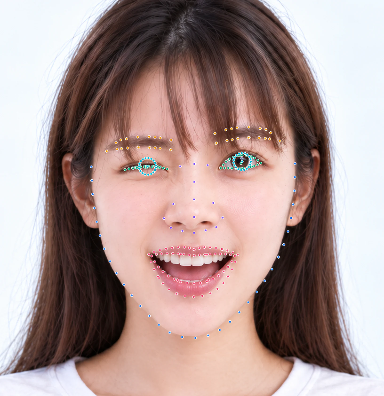 HyperLandmark 人脸关键点示例，用不同颜色标记脸部轮廓、眉毛、眼睛、鼻子、嘴唇与虹膜